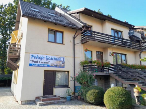 Apartamenty Pod Lwami